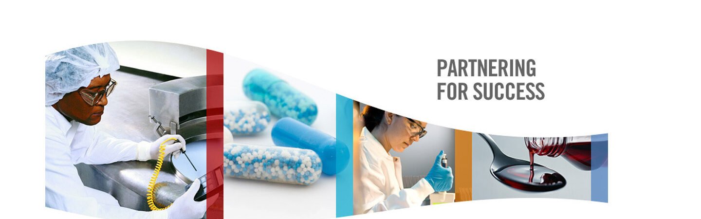 new Partnering for success